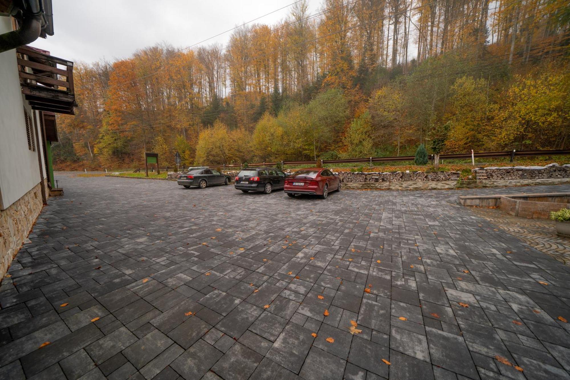 Popas Turistic Transfagarasan Cartisoara Exterior foto